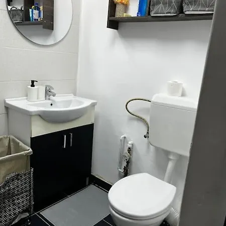 Nicoleta's Apartament
