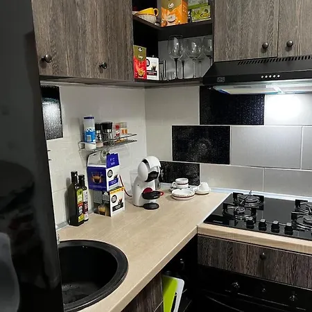 Apartament Nicoleta's