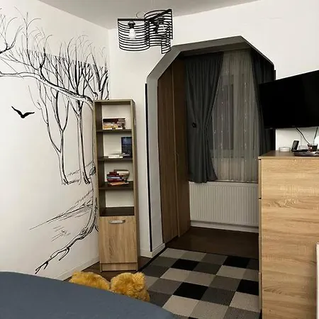 Nicoleta's Apartament *